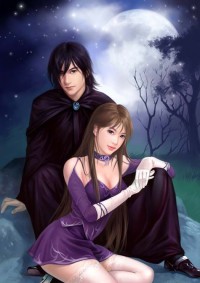（网王+吸血鬼骑士）笨蛋！那是爱！