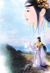 世家女与寒门将